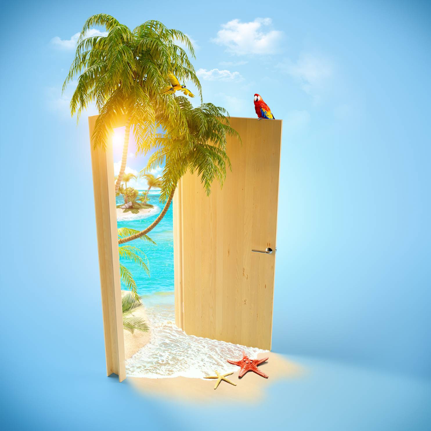 Royeli Tours and Travels