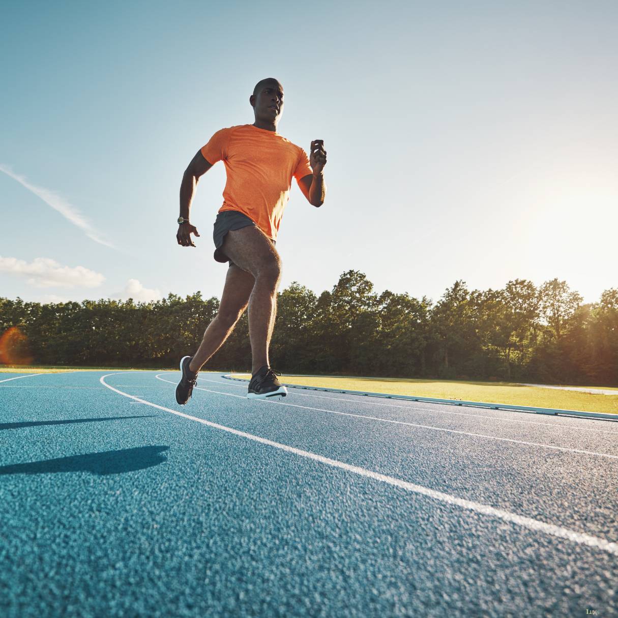 Royeli Tours and Travel Mission