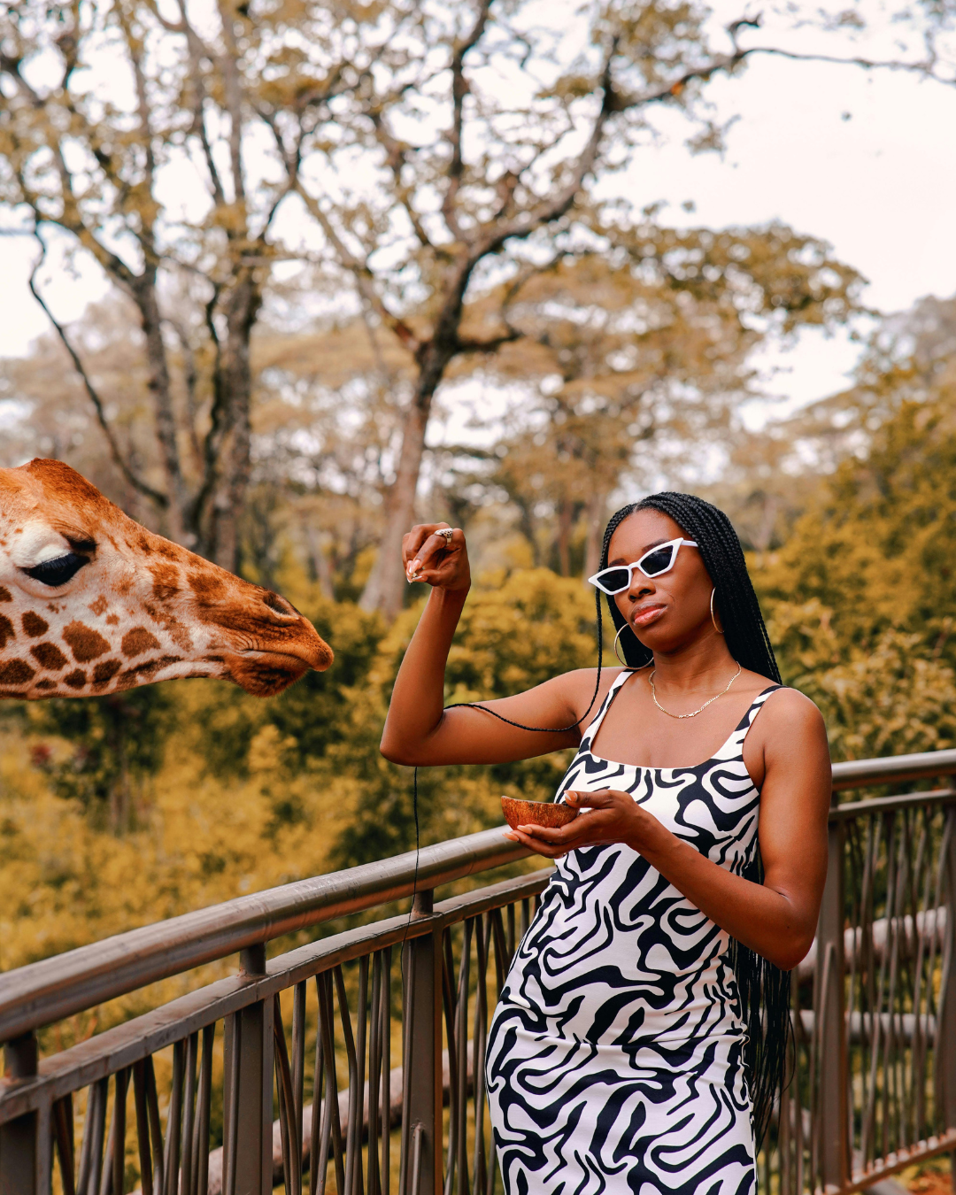 Royeli Tour Travel Destinations